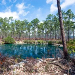 Abaco National Park - Marsh Harbour