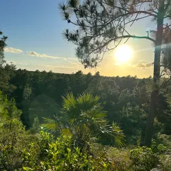 Abaco National Park - Marsh Harbour