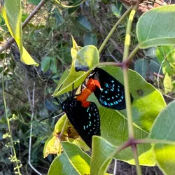 Abaco National Park - Marsh Harbour