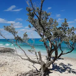 Man-O-War Cay - Marsh Harbour