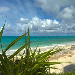 Man-O-War Cay - Marsh Harbour