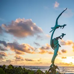 Pete's Pub and Gallery - Marsh Harbour