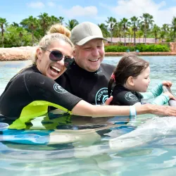 Dolphin Cay - Paradise Island