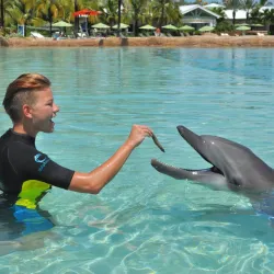 Dolphin Cay - Paradise Island