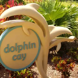 Dolphin Cay - Paradise Island