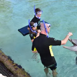 Dolphin Cay - Paradise Island