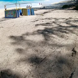 Paradise Island Beach - Paradise Island