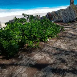 Paradise Island Beach - Paradise Island