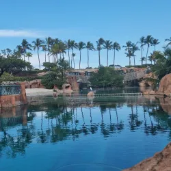 Paradise Lagoon - Paradise Island