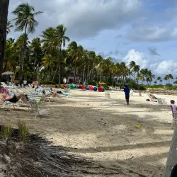 Paradise Lagoon - Paradise Island