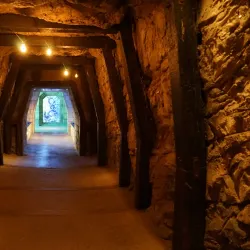 The Dig - Paradise Island