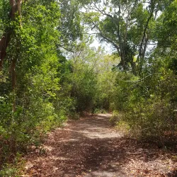 Island Nature Trails - Pirates Well