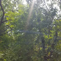 Island Nature Trails - Pirates Well