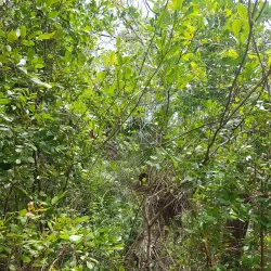 Island Nature Trails - Pirates Well