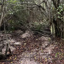 Island Nature Trails - Pirates Well