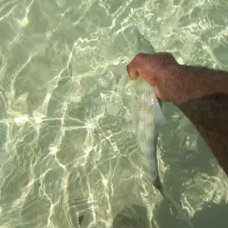 Local Fishing Spots - Pirates Well