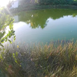 Local Fishing Spots - Pirates Well