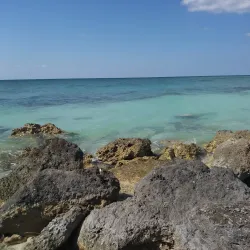 Stargazing - Pirates Well