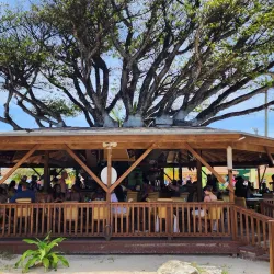 Stargazing - Pirates Well