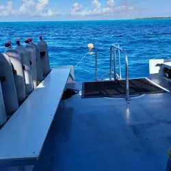 Coral Reef Snorkeling Spot - Snug Corner