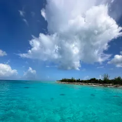 Coral Reef Snorkeling Spot - Snug Corner