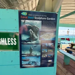 Coral Reef Snorkeling Spot - Snug Corner