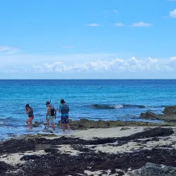 Coral Reef Snorkeling Spot - Snug Corner