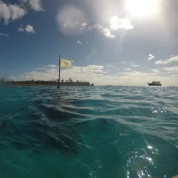Coral Reef Snorkeling Spot - Snug Corner