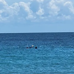 Coral Reef Snorkeling Spot - Snug Corner