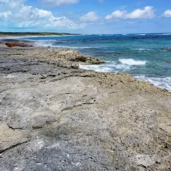 Local Artisan Market - Snug Corner