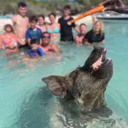 Boat Tours and Excursions - Sweeting Cay