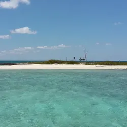 Grand Bahama Island Marine Park - Sweeting Cay