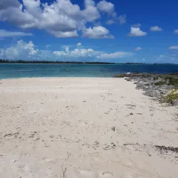 Grand Bahama Island Marine Park - Sweeting Cay