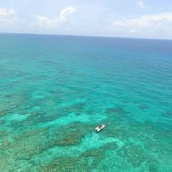 Grand Bahama Island Marine Park - Sweeting Cay