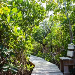 Lucayan National Park - Sweeting Cay