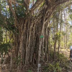 Rand Nature Centre - Sweeting Cay
