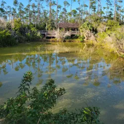 Rand Nature Centre - Sweeting Cay