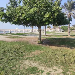 Al Budayyi Beach - Al Budayyi