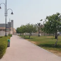 Al Budayyi Beach - Al Budayyi