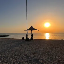 Al Budayyi Beach - Al Budayyi