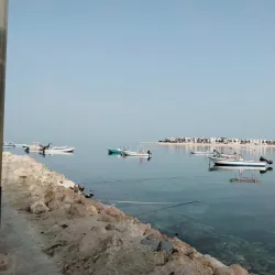 Al Budayyi Fishing Harbor - Al Budayyi