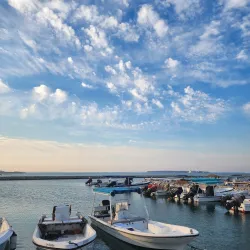 Al Budayyi Fishing Harbor - Al Budayyi