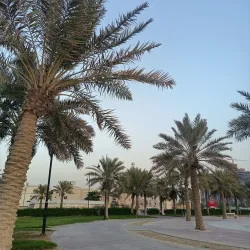 Al Budayyi Mosque - Al Budayyi