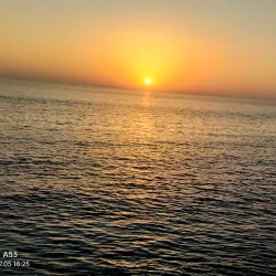 Al Budayyi Park - Al Budayyi