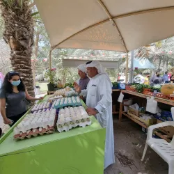 Al Budayyi Souq - Al Budayyi