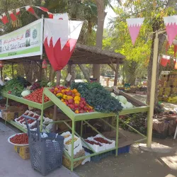 Al Budayyi Souq - Al Budayyi