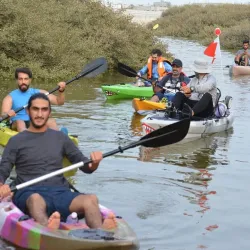 Mangrove Forests near Al Budayyi - Al Budayyi