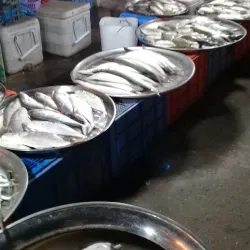 Al Hidd Fish Market - Al Hidd