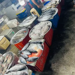Al Hidd Fish Market - Al Hidd