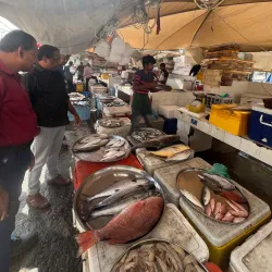 Al Hidd Fish Market - Al Hidd